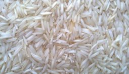 1121-basmati-steam-rice-500x500 1121-basmati-steam-rice-500x500