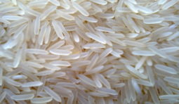 1121-sella-basmati-parboiled-white-rice-1481092415-2629445 1121-sella-basmati-parboiled-white-rice-1481092415-2629445