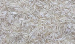 1401-white-basmati-rice-1549274599-4693030 1401-white-basmati-rice-1549274599-4693030
