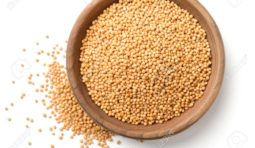 yellow mustard seeds in the wooden plate, isolated on white, top view yellow mustard seeds isolated on white background