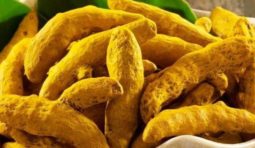 Dry-turmeric-sticks-e1530166954751 Dry-turmeric-sticks-e1530166954751