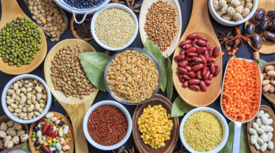Pulses_AdobeStock_117825265_E