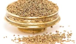 ajwain-is-a-natural-remedy-934994934994_0522c924-4407-4e9d-9cb0-ca44a014886f_2048x@2x ajwain-is-a-natural-remedy-934994934994_0522c924-4407-4e9d-9cb0-ca44a014886f_2048x@2x