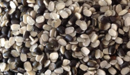 black-split-dal-500x500 black-split-dal-500x500