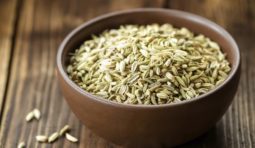 fennel-seed-1551098726-4748323 fennel-seed-1551098726-4748323