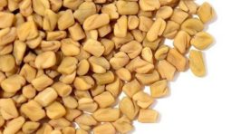 fenugreek_seeds-500x500 fenugreek_seeds-500x500