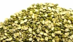 fresh-split-green-moong-dal-500x500 fresh-split-green-moong-dal-500x500