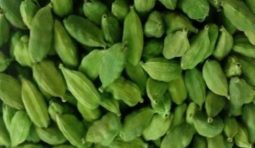 guatemala-green-cardamom-500x500 guatemala-green-cardamom-500x500