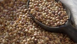 horsegram-500x500 horsegram-500x500
