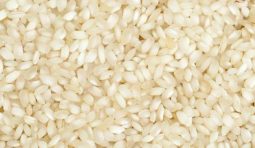 idli-rice-500x500 idli-rice-500x500