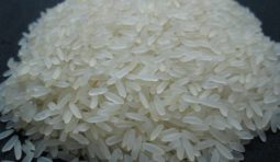 ir-64-parboiled-rice-1490678121-2786520 ir-64-parboiled-rice-1490678121-2786520