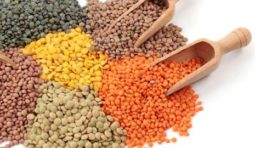 lentils_iStock-e1426011169167 lentils_iStock-e1426011169167