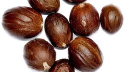nutmeg-without-shell-500x500 nutmeg-without-shell-500x500