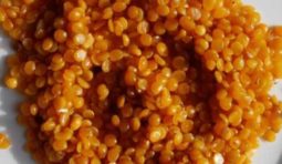 oily-toor-dal-500x500 oily-toor-dal-500x500