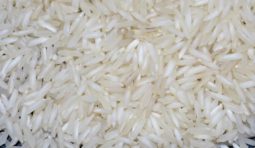 pr-11-non-basmati-rice pr-11-non-basmati-rice