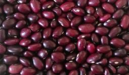 product-500x500 (1) product-500x500 (1)
