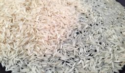 pusa-raw-basmati-rice-1256237 pusa-raw-basmati-rice-1256237