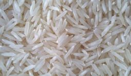 pusa-white-sella-basmati-rice-500x500 pusa-white-sella-basmati-rice-500x500
