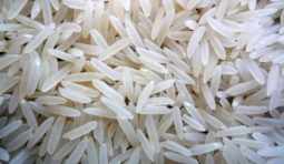sharbati-sella-rice-1291549 sharbati-sella-rice-1291549
