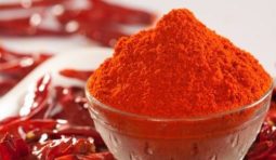 spicy-chilli-powder-500x500 spicy-chilli-powder-500x500