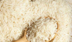 sugandha-steam-basmati-rice-500x500 sugandha-steam-basmati-rice-500x500