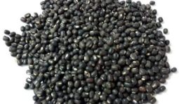urad-whole-500x500 urad-whole-500x500